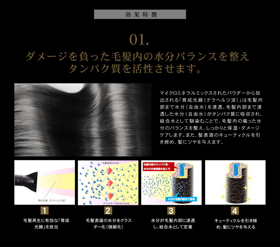 クレイツイオンテクノロジー ホリスティック キュア ドライヤーの効果特徴