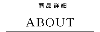 ホリスティックキュア ブロードライヤー 商品詳細