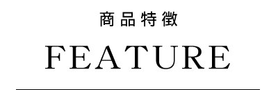 ホリスティックキュア ブロードライヤー 商品特徴
