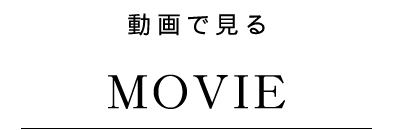 ホリスティックキュア ブロードライヤーを動画で見る