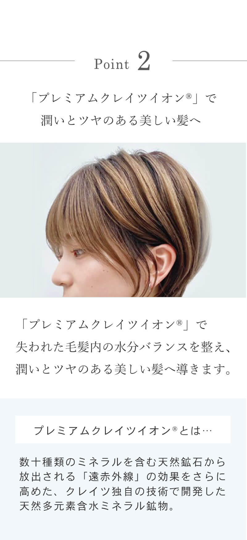 CREATE ION クレイツ イオン エレメア レピ F SSIE-G12PRO F