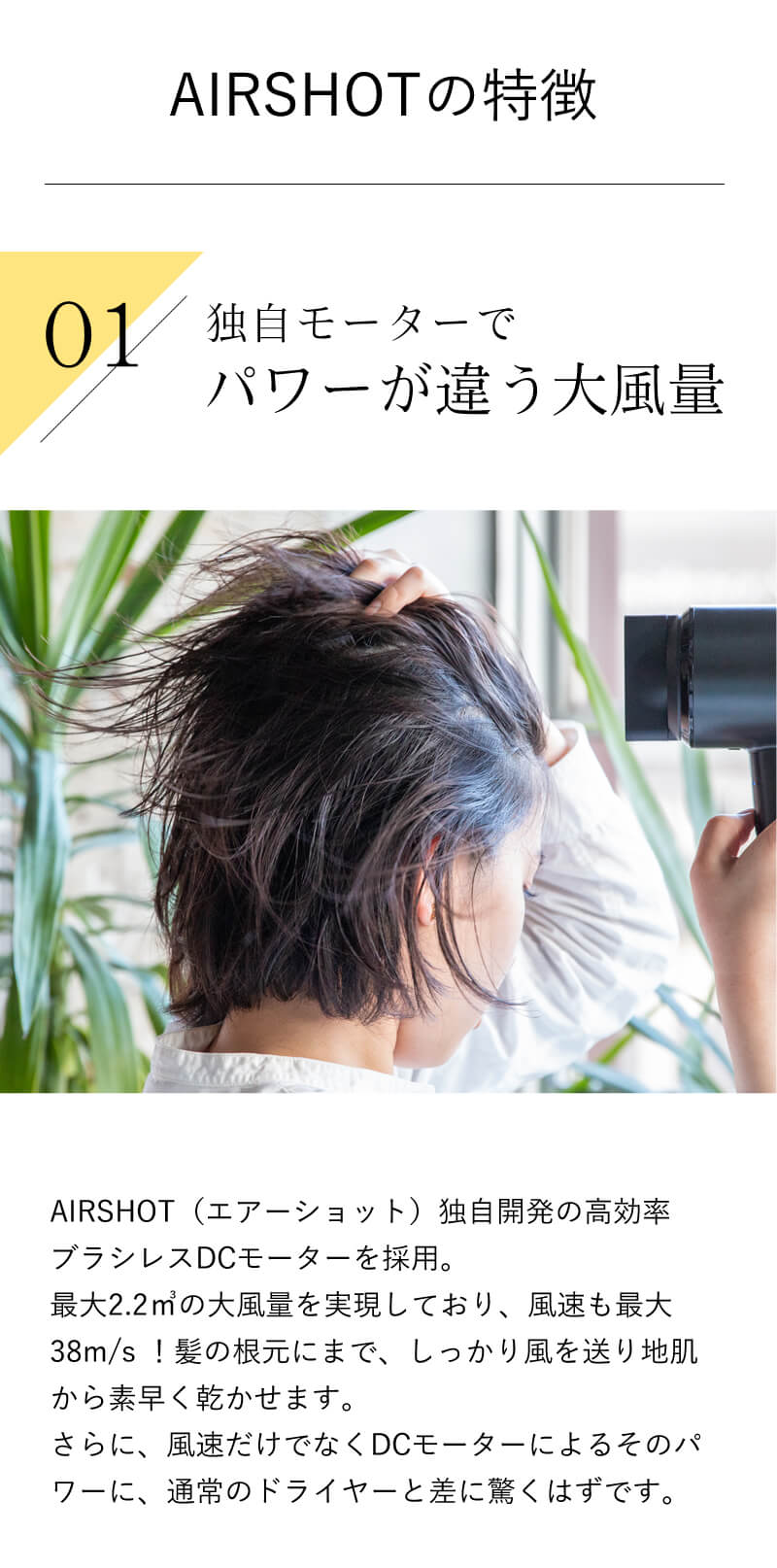 フカイ工業 ヴィリュクス エアーショット