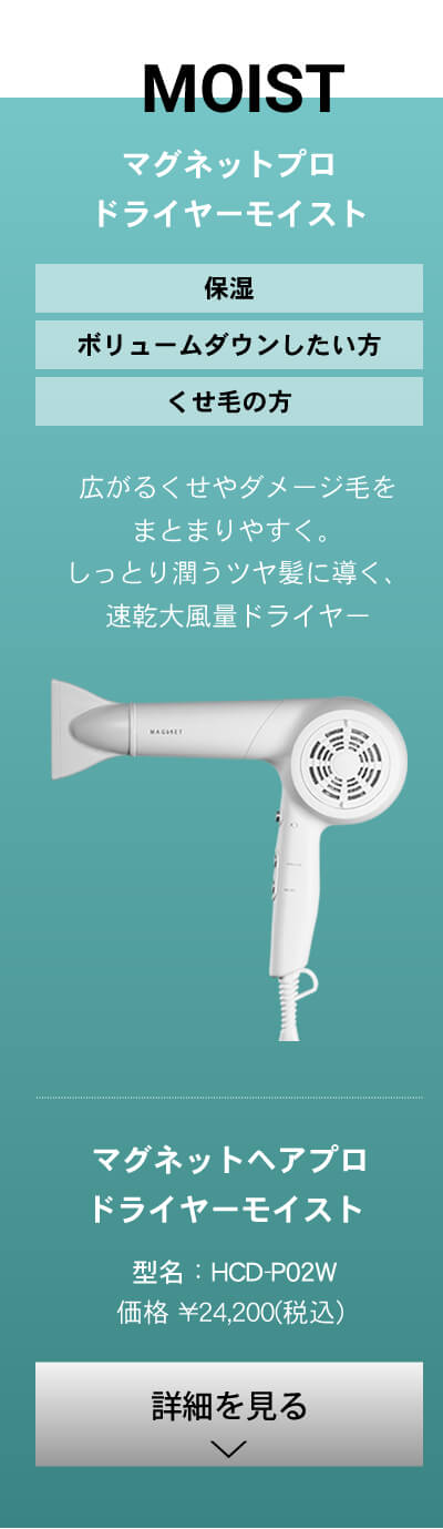 マグネットヘアプロ ドライヤー モイスト（magnet hair pro)