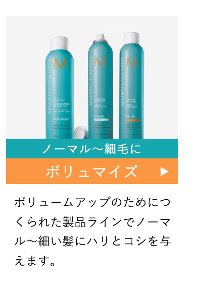 ボリュマイズ