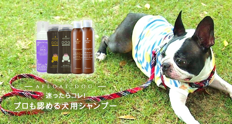 犬用 トリートメント アフロート