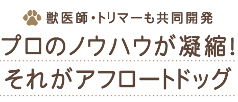 プロのノウハウが凝縮！それがアフロートドッグ