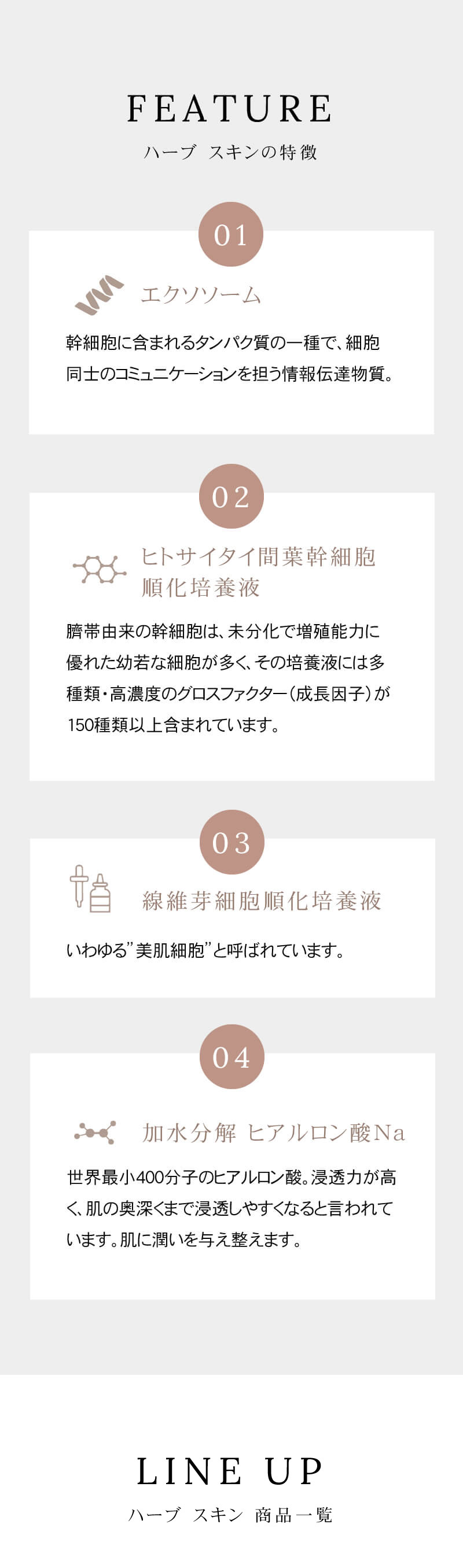 AAB SKIN ハーブスキン