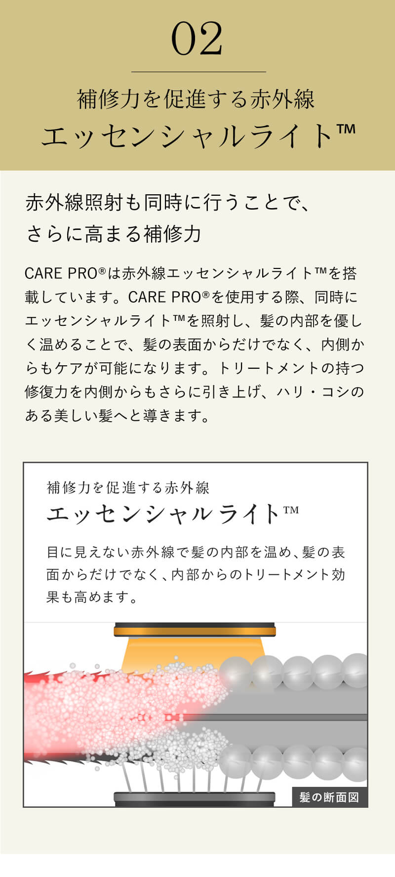 【正規販売店】CARE PRO ケアプロ (プロフェッショナル トリートメント浸透促進 超音波アイロン)