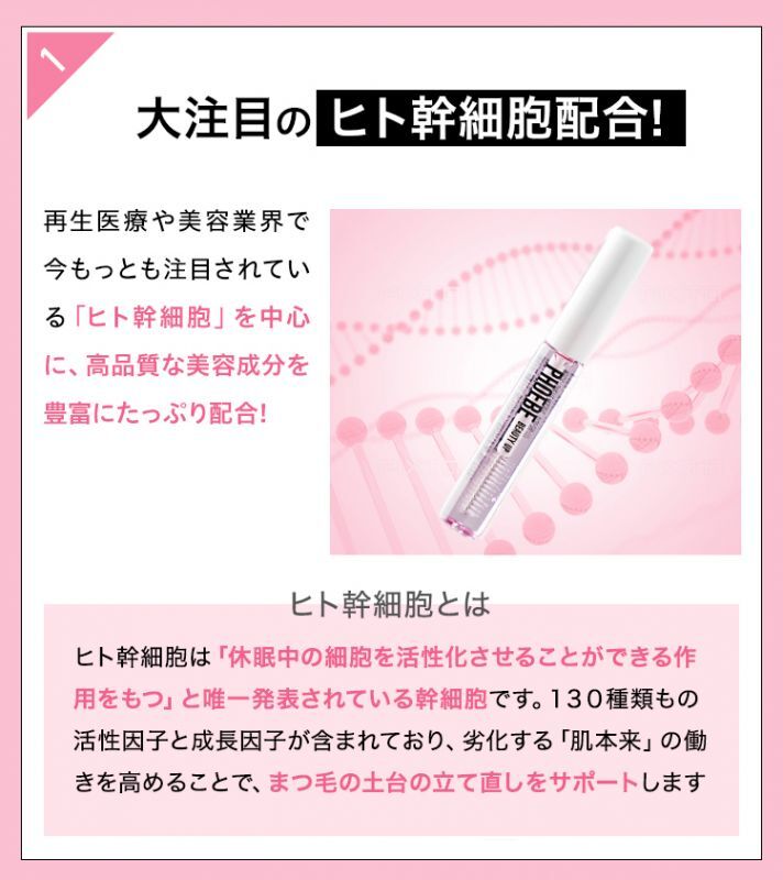 フィービー