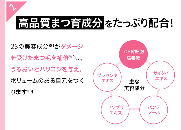 フィービー